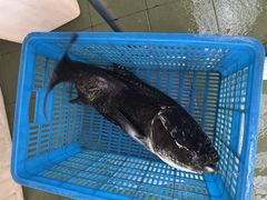 -千岛湖鱼味馆(十字街总店)