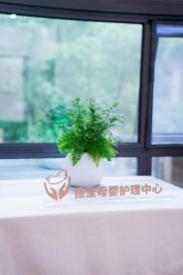 点击看大图 -佳宝全套房精品月子会所(大华店)