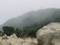 -梧桐山风景名胜区