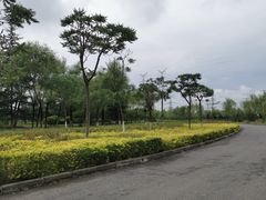 -洨河生态公园