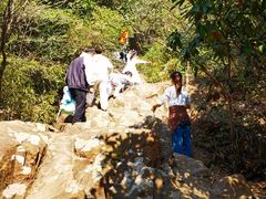 -杭州半山国家森林公园