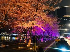 -西北湖绿化广场