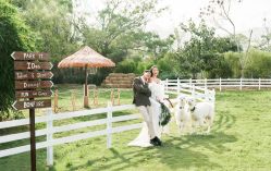 点击看大图 -太古映画婚纱摄影(天河店)