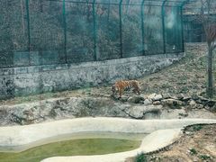 -栾川竹海野生动物园