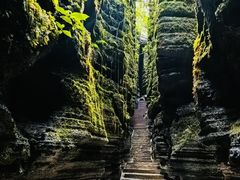 -梭布垭石林景区