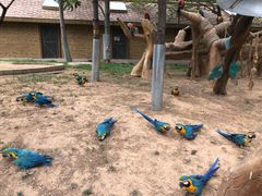 -石家庄市动物园