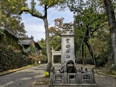 -灵谷景区