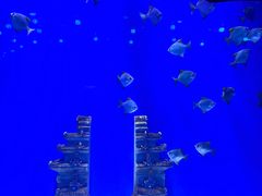 -南昌融创海世界