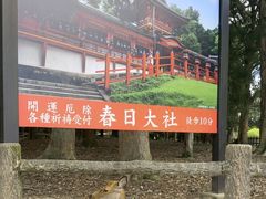 -奈良公园