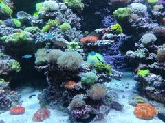 -太平洋海底世界