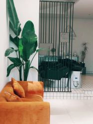 大厅-ASA HAIR SALON