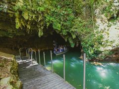 -怀托摩萤火虫洞