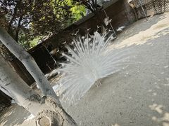 -保定市动物园