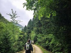 -四明山国家森林公园