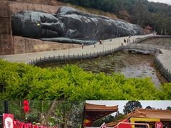 -三水森林公园