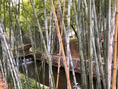 -广东温泉宾馆