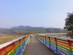 -江西景德镇玉田湖国家湿地公园