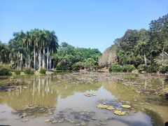 -中国科学院西双版纳热带植物园