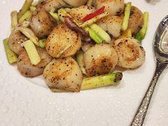 -新雅粤菜馆(南京东路店)