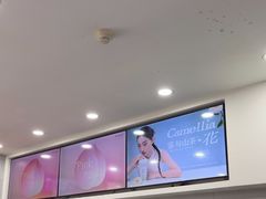 -雾与山茶(大禹城店)