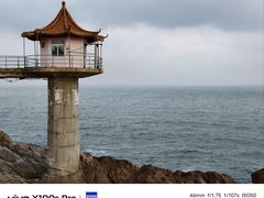 -小麦岛公园