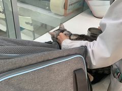 -乖乖乐动物医院(小汤山分院)