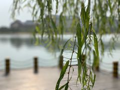 -天屿湖