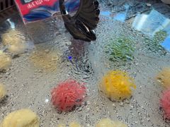 -山河屯铁锅炖·非遗东北菜(南山店)