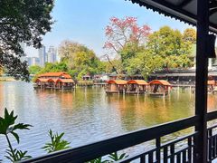 -侨美·唐荔园·40年地道粤菜