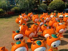 -上海长兴岛郊野公园