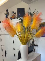 -HaLo hair studio