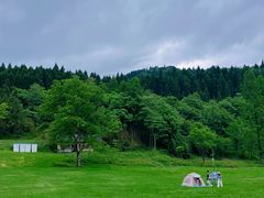 -武陵山森林公园