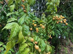 -潮香兴煲仔饭(莲花路店)