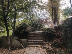 -白马涧龙池景区