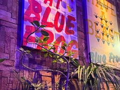-bluefrog蓝蛙(皇庭广场店)