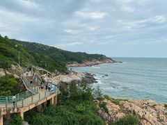 -广东惠东海龟国家级自然保护区