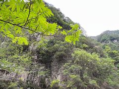 -刘伯温故里景区百丈漈