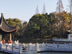 -汇龙潭
