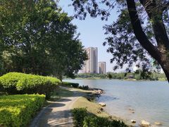 -飞来湖湿地公园