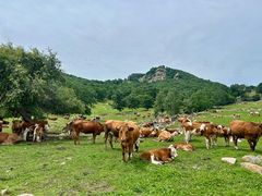 -克什克腾世界地质公园青山景区