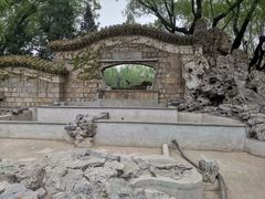 -团结湖公园