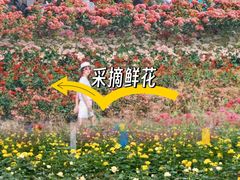 -栖露营camping·天幕烧烤·团建拓展·采摘营地