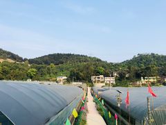 -普迪生态园