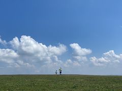 -丰宁坝上草原