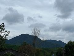 -龙坞茶村
