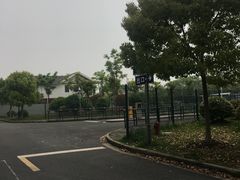 -顾村公园3号门停车场