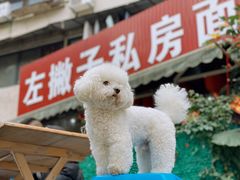 -左撇子私房面