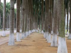 -南宁花花大世界景区