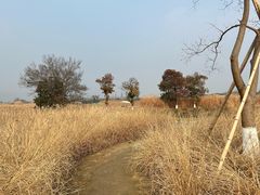 -良渚古城遗址公园