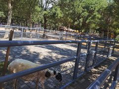 -长白岛森林公园